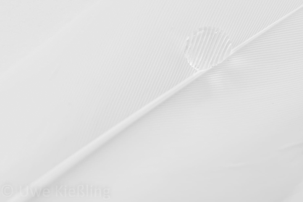 Monatsbilder Dezember 2019